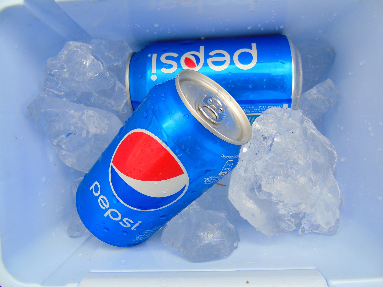 PepsiCo, Inc. Earnings Will PEP Stock Increase Its Dividend in 2020?